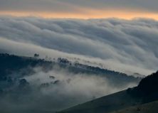 orizzonte di nebbia.jpg